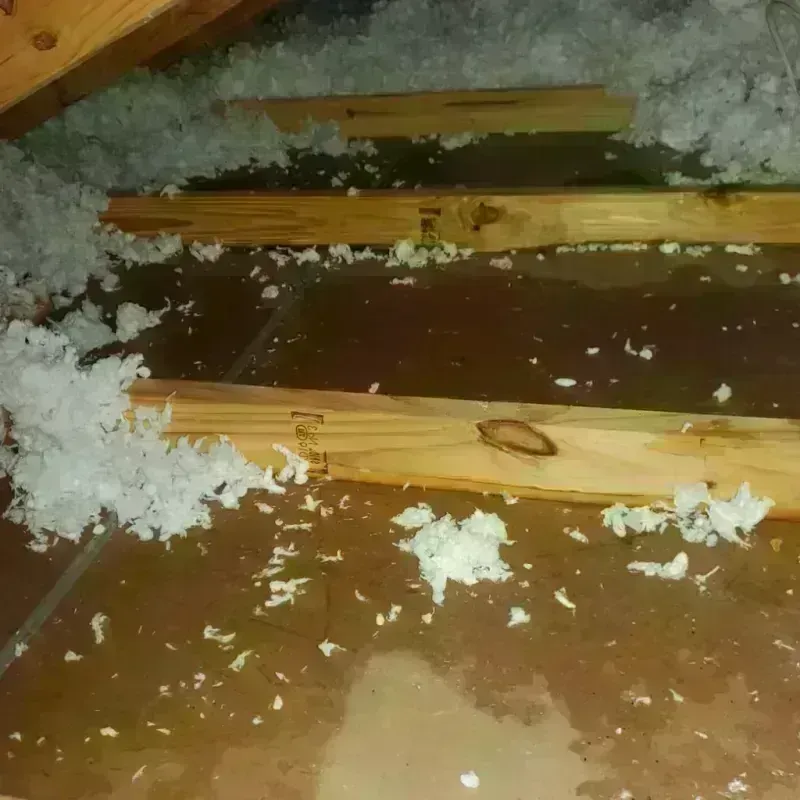 Attic Water Damage in Campbellsville, KY